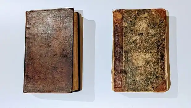 200 Yıl Sonra Gün Yüzüne Çıkan Şok Edici Sır: Katilin Derisiyle Ciltlenmiş Kitap