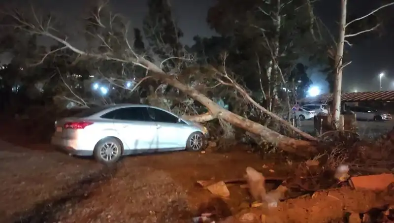 Hatay’da Sert Fırtına: Tekne Felaketi ve Devrilen Ağaçlar!