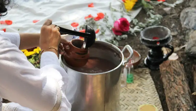 Ayahuasca Çayı: Şifalı Bitki Mi, Yasaklı Madde Mi?