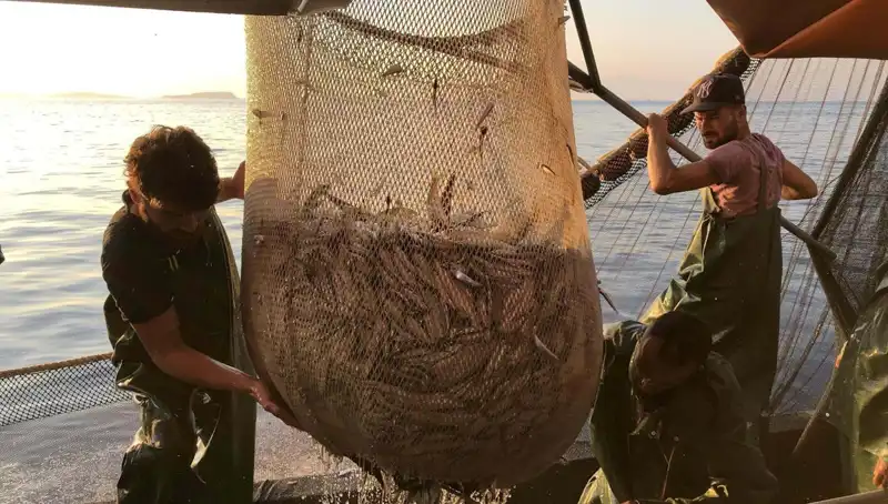 İhlal Eden Balıkçılara Çarpıcı Ceza Uygulaması: Binlerce Lira Haciz Şoku!
