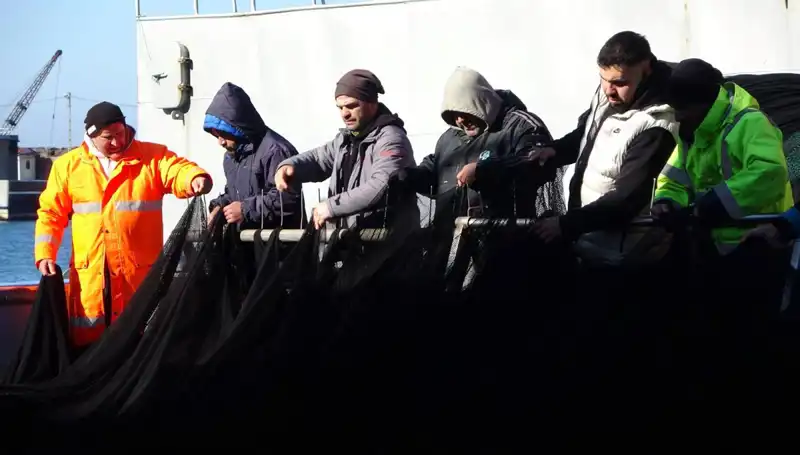 İstanbul'un Denizlerinde Hamsi Avı Son Buldu: Balıkçılar Erken Veda Etti
