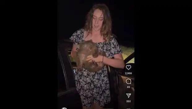 Anneden Ayrılan Yavru Kedi: Kalpleri Sızlatan Paylaşım ve Gözyaşları İçinde Kaçış!