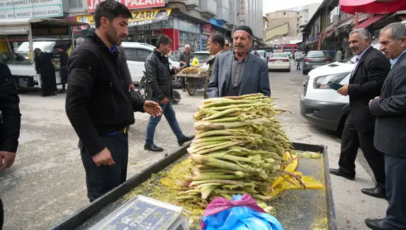 Şeker, Kanser ve Mide Hastalığına İyi Geldiği İnancı: Dağlık Şekerler Pazarda