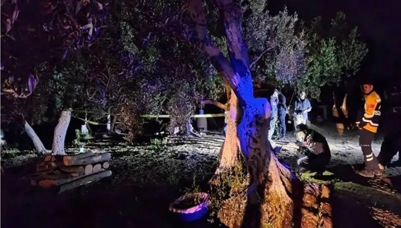 Çiftlikteki Baltalı Vahşete Gözaltı! Kim Tutuklandı?