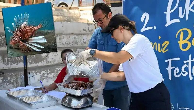 Antalya'da Düzenlenen Aslan Balığı Avlama Yarışmasıyla Denizleri Temizleyecek