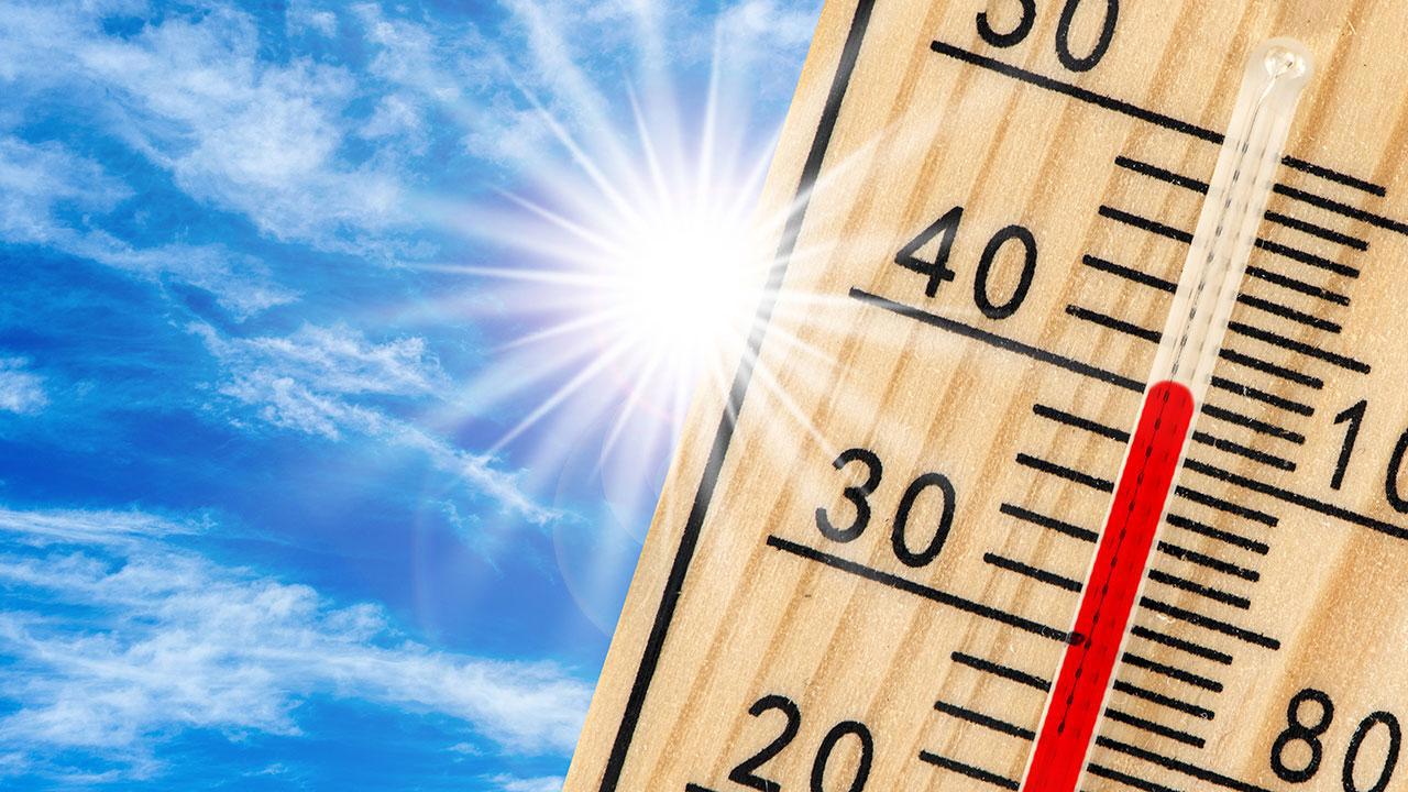 Dünya 2024'te En Sıcak Yılı Yaşadı!