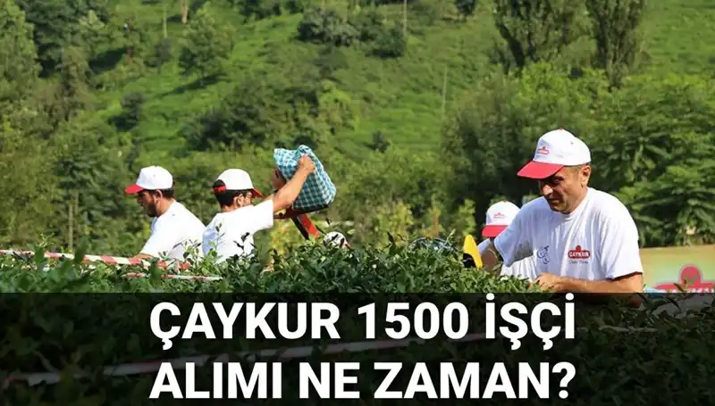 Çaykur İşçi Alımı Başvuru Tarihleri ve Süreçteki Son Gelişmeler