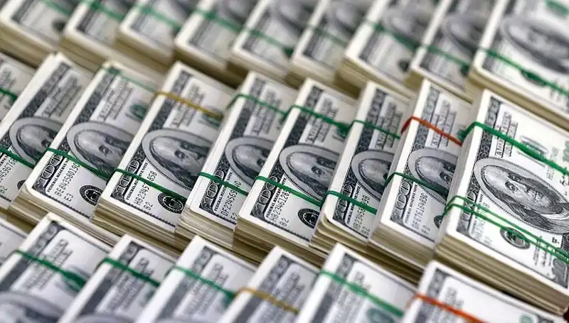 Hızla Yükselen Dolar: Ekonomi Uzmanlarından Kritik Uyarılar Geldi