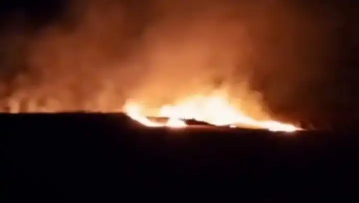 İstanbul’da Korkutan Yangın: 20 Dönüm Tarım Arazisi Alev Alev Yandı!
