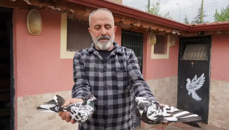 42 Yıl Boyunca Süregelen Hobi, Artık Bir Profesyonel Tesis Olacak