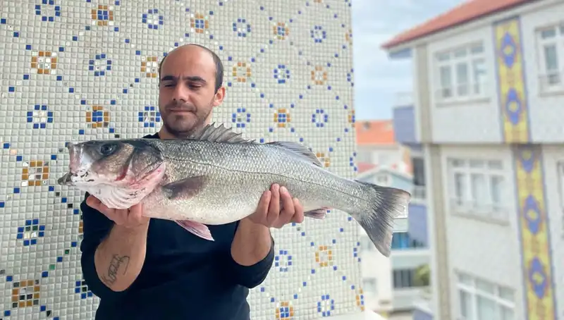 7,5 Kiloluk Dev Levrek, Balıkçıları Şaşkına Çeviriyor!