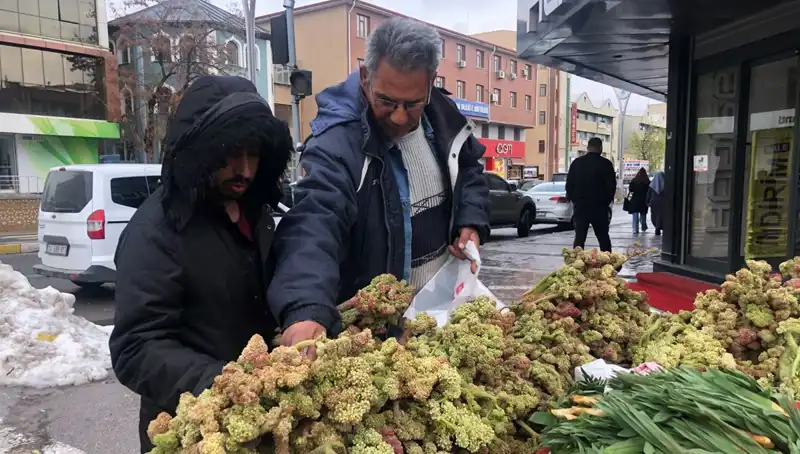 Kendiliğinden Yetişen Vitamin Deposu: Kanserle Mücadelede Yeni Umut!