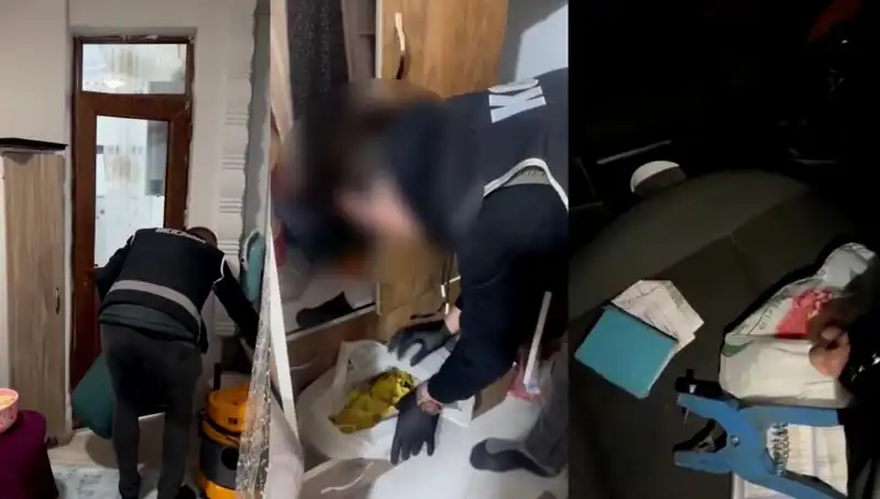 Hayvan Sevk Belgeleri Operasyonunda 9 Gözaltı: Usulsüzlükler Ortaya Çıktı
