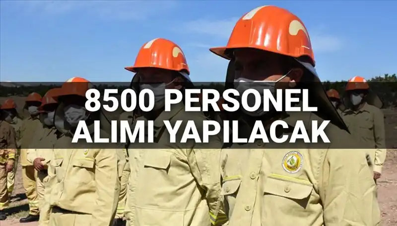 2025 Tarım ve Orman Bakanlığı 8500 Personel Alımı: Tarih ve Şartlar Açıklandı mı?