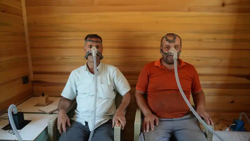 Alerji Astım ve Bronşite Doğal Şifalar: Sağlıklı Alternatifler