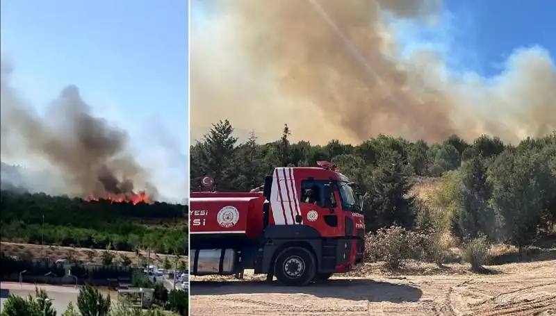 Gebze'de Korkutan Orman Yangını: Yangınla Mücadelede Son Durum