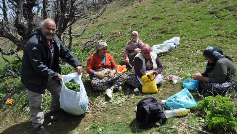 İstanbul'da Yürüyerek Gelir Sağlayan Yüzlerce Aile: 250 Liralık Hazine