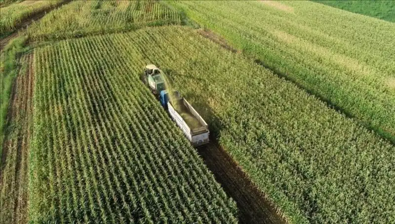 Mazot ve Gübre Desteği Ödemelerinde Son Durum: 2025 Mart Ayı Beklentileri