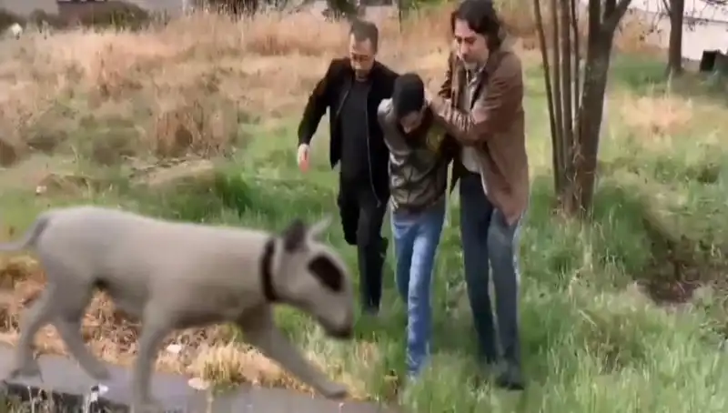 430 Bin Lira Değerindeki Şampiyon Köpek Hırsızlığına Son Verildi!