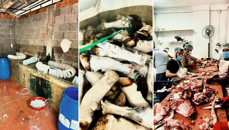Adana'da Şok Eden Operasyon: Yüzlerce Kilo Paça Ele Geçirildi