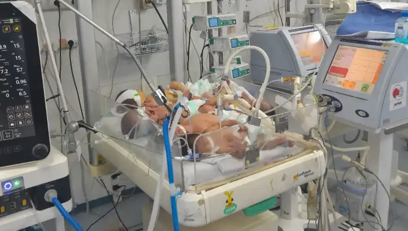 Gazze'deki Doktorların Çağrısı: "Birden Fazla Bebek Aynı Kuvözde Yaşam Mücadelesi Veriyor"