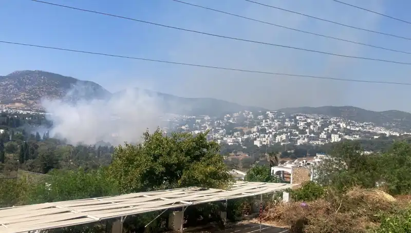 Muğla Orman Yangınları Sonunda Kontrol Altına Alındı: Halk Rahatladı